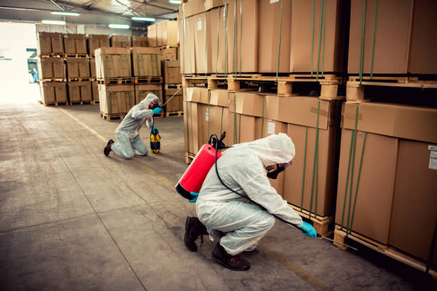 Best Wasp Removal Services  in Trotwood, OH