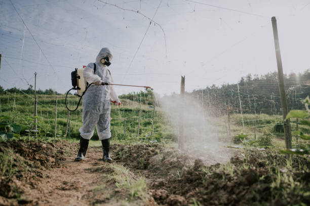 Best Ant Control Services  in Trotwood, OH