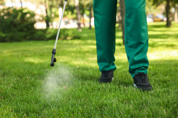 Best Emergency Pest Control  in Trotwood, OH