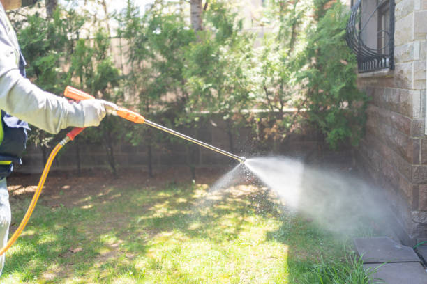 Professional Pest Control in Trotwood, OH