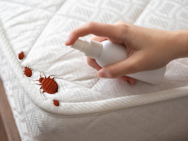 Best Pest Inspection Near Me  in Trotwood, OH