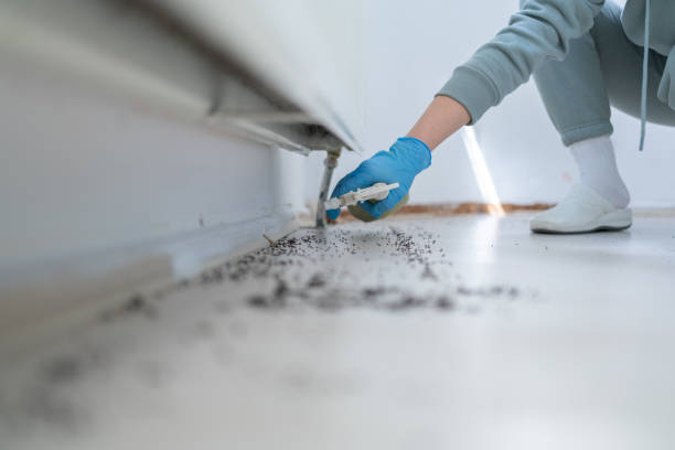 Best Termite Control Services  in Trotwood, OH