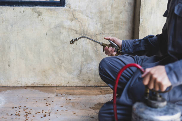 Best Local Pest Control Services  in Trotwood, OH
